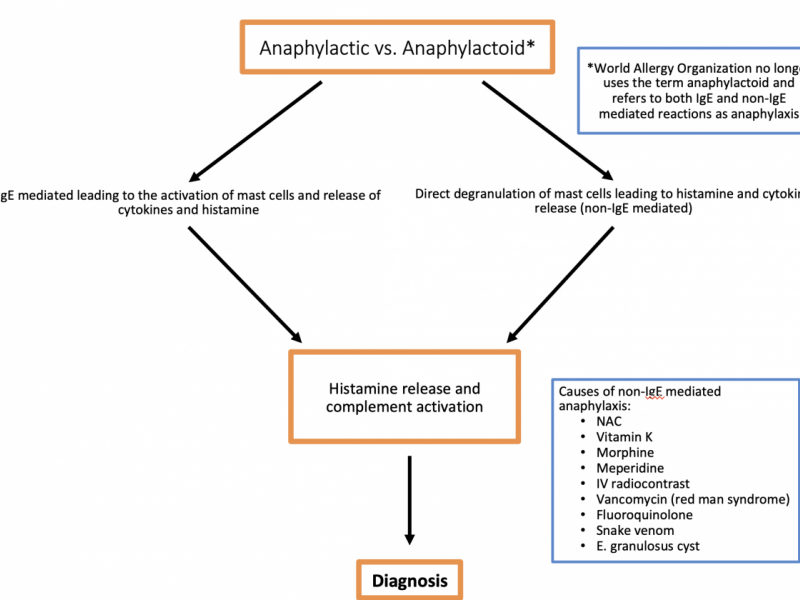 Back to Basics: Anaphylaxis