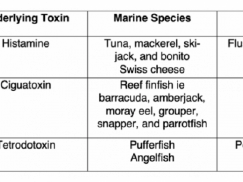 Board Review: Toxicology