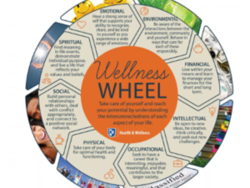 Wellness Wednesday: Financial Wellness